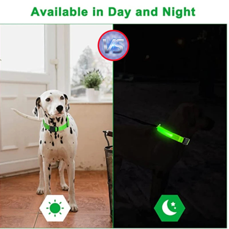 Night Guard LED Pet Safety Collar