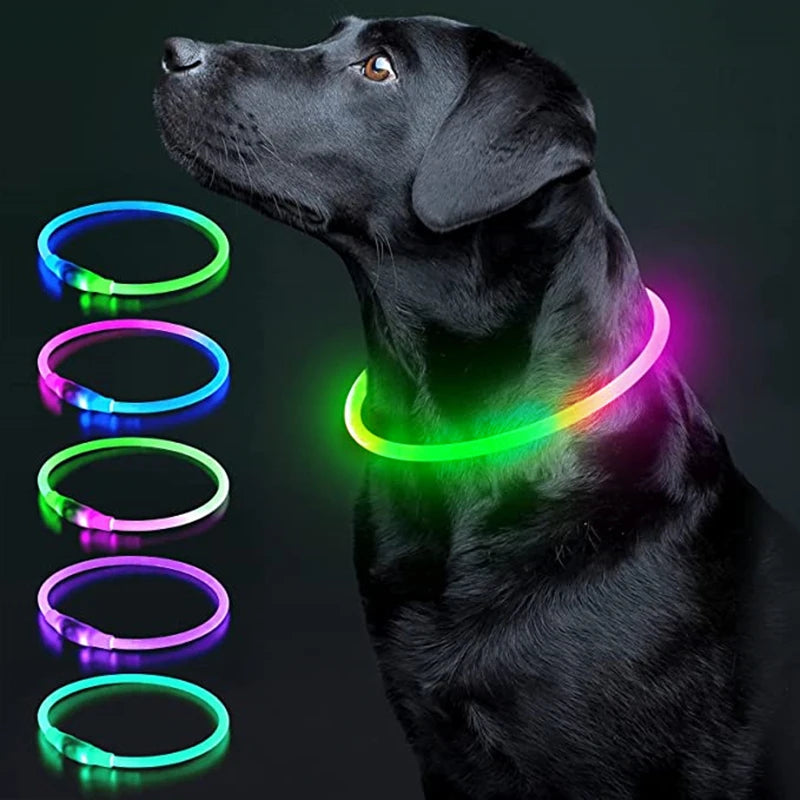 Night Guard LED Pet Safety Collar