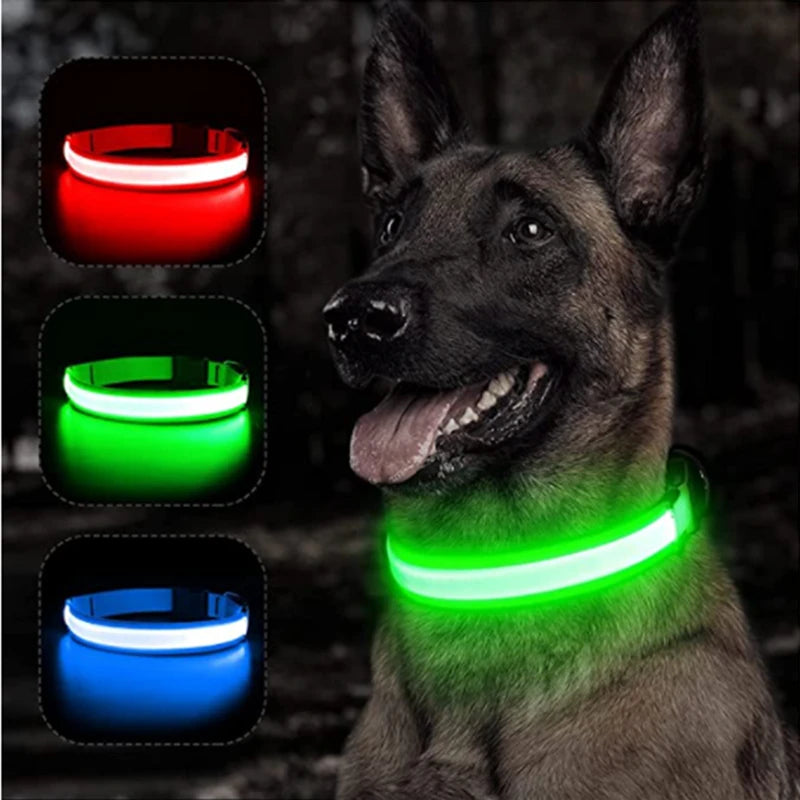 Night Guard LED Pet Safety Collar