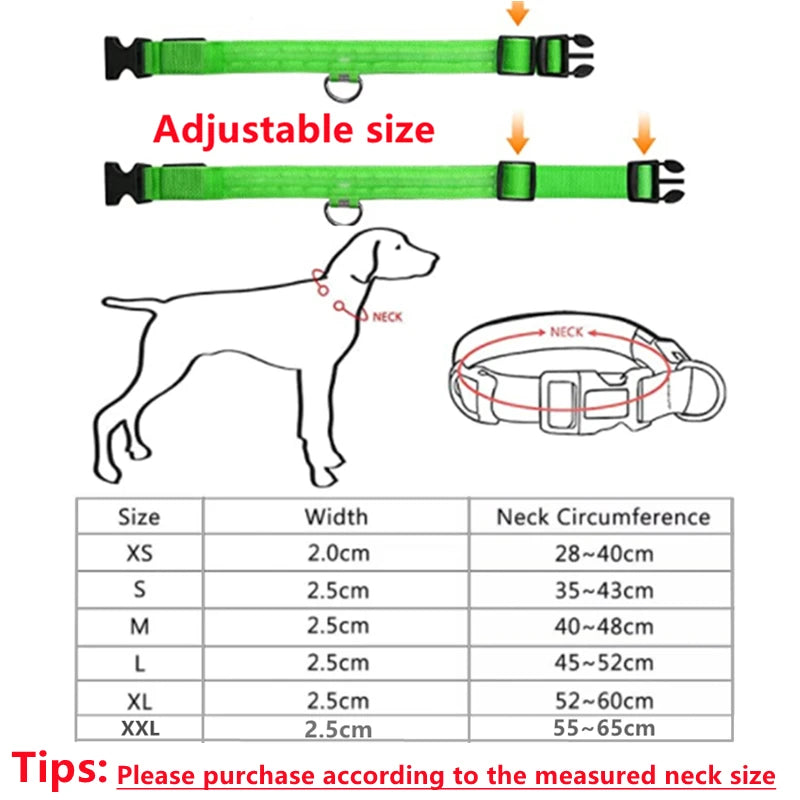 Night Guard LED Pet Safety Collar